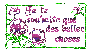 image scintillante